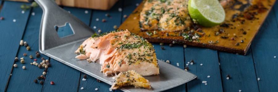 Fish_na_grilly_progrill.com.ua_fich_na_grilly_broil_king_Herbed-Salmon-LOW.jpg